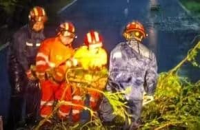 广东阳江：台风登陆之处 有一群“逆行者”