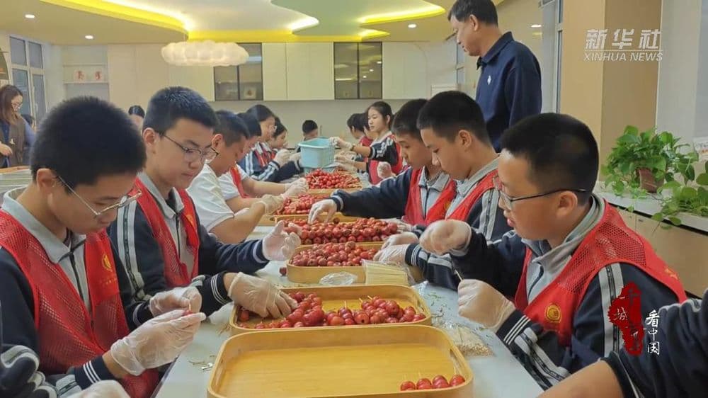 河北石家庄：校园山楂喜获丰收 4800串糖葫芦串起“爱的教育”