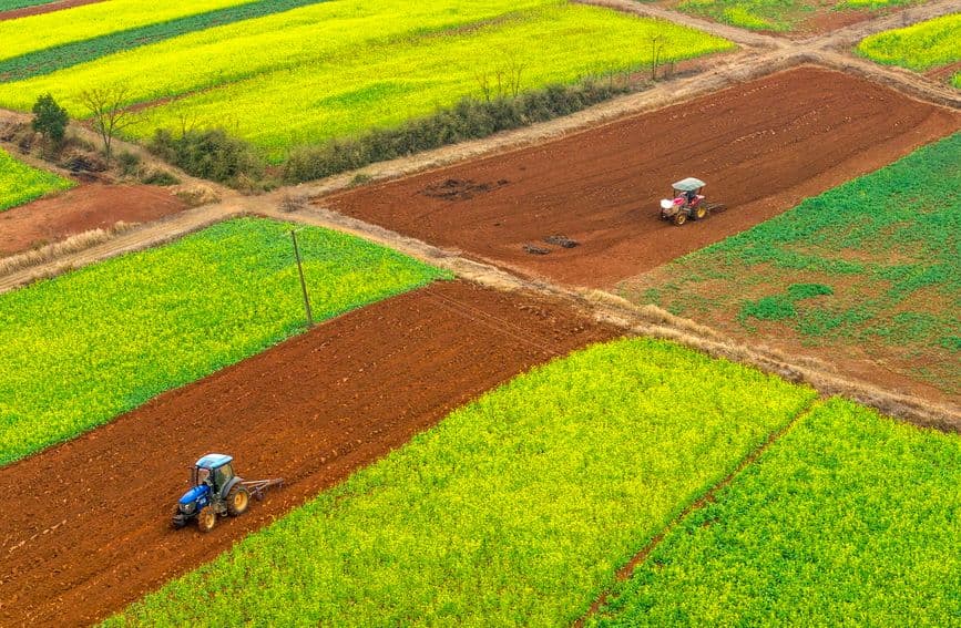 江西樟树：立春将至农事忙