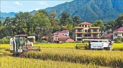 “像点外卖一样下单农事服务”（秋收进行时） 本报记者 杨颜菲