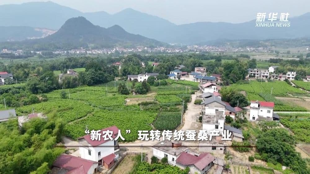 解码“劳有所得”的民生实践：“新农人”玩转传统蚕桑产业