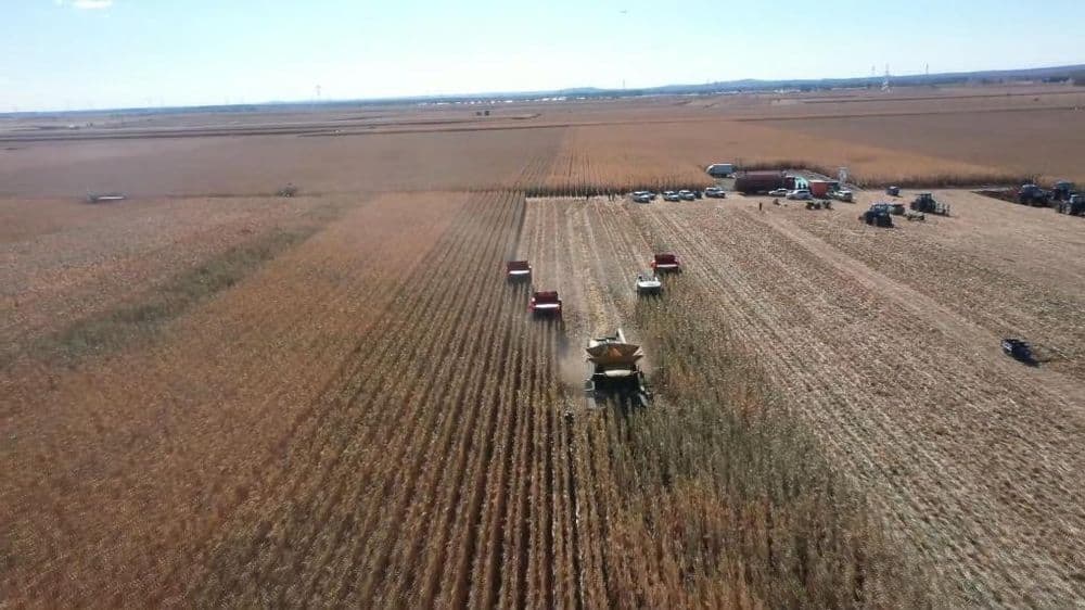内蒙古突泉县：把科学储粮作为节粮减损的重要抓手，科技储粮助农增收