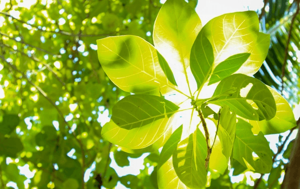 国庆中秋假期，多地医生坚守岗位服务患者 “大家健健康康，我就更有干劲！”