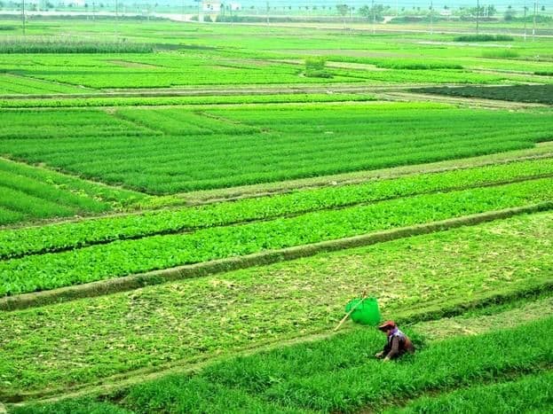 重点领域改革深入推进　乡村振兴添后劲