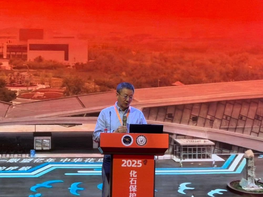 “恐龙院士”徐星：在朝阳，孩子们可以近距离与化石对话