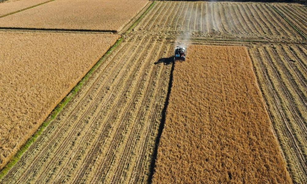 各地农民抢抓农时加紧收获，处处是喜人的秋日好“丰”景